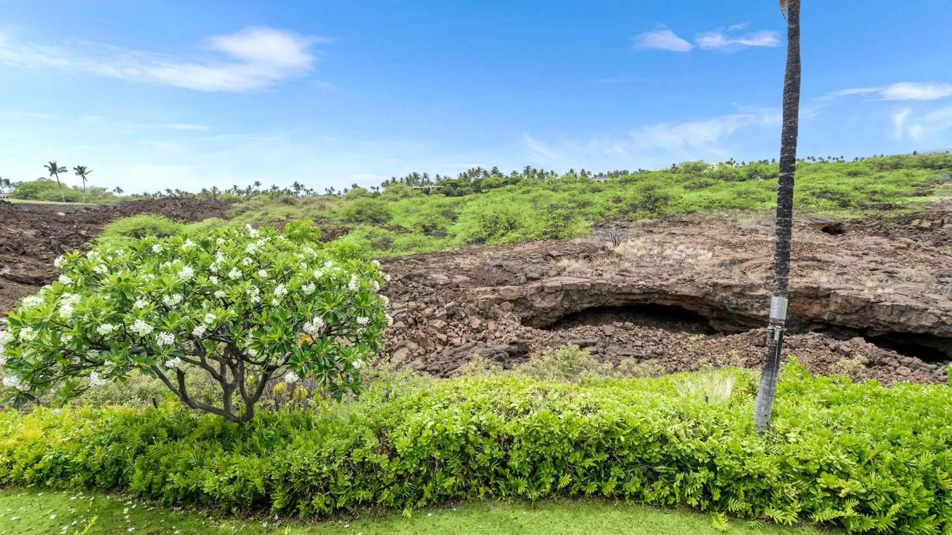 別荘 1Palm Villas At Mauna Lani H23 ワイコロアビレッジ